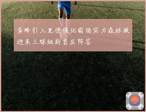 黄蜂引入里德强化前场实力森林狼迎来三球组新首发阵容